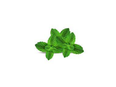 Mentha arvensis veya nane bitkisi yaprakları beyaz arka planda izole