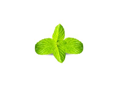 Mentha arvensis veya nane bitkisi yaprakları beyaz arka planda izole