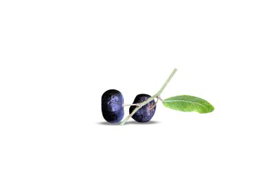 Phyllanthus retikülatus veya beyaz arkaplanda izole edilmiş siyah bal çalısı meyveleri