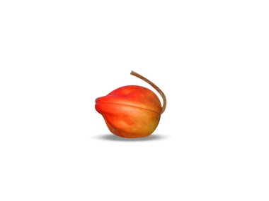 Sterculia foetida ya da beyaz arka planda izole edilmiş olgun meyveler.