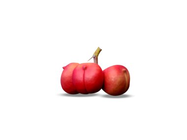 Sterculia foetida ya da beyaz arka planda izole edilmiş olgun meyveler.