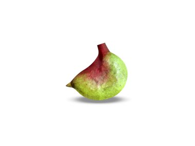 Sterculia foetida veya yaban badem yeşil meyveler beyaz arka planda izole