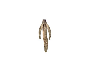 Beyaz arka planda izole edilmiş Mandragora officinarum ya da mandrake kök kabukları