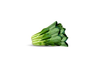 Brassica juncea ya da genç yeşil hardal bitkisi beyaz arka planda izole edilmiş.