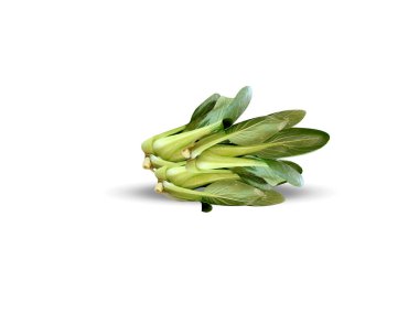 Brassica juncea ya da genç yeşil hardal bitkisi beyaz arka planda izole edilmiş.