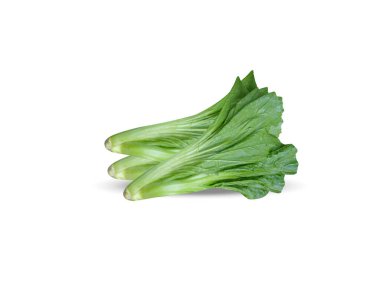 Brassica juncea ya da genç yeşil hardal bitkisi beyaz arka planda izole edilmiş.