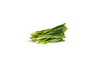 Brassica juncea ya da genç yeşil hardal bitkisi beyaz arka planda izole edilmiş.