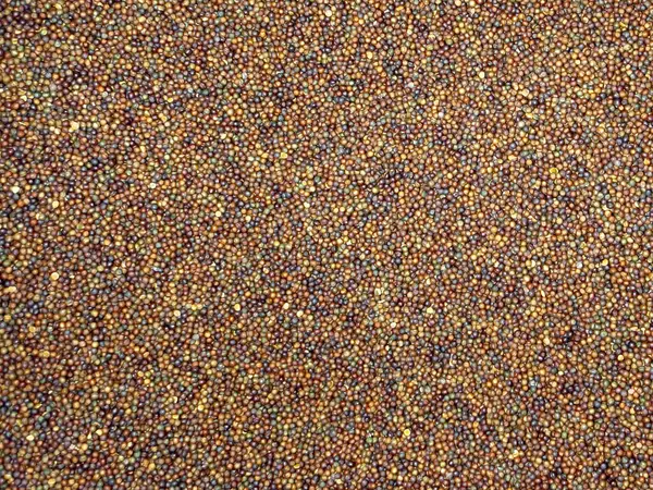 Beyaz arka planda yalıtılmış Brassica juncea veya kurutulmuş hardal tohumları