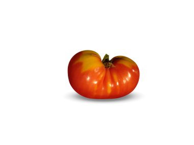 Olgun domates ya da beyaz arkaplanda izole edilmiş Solanum licopersicum