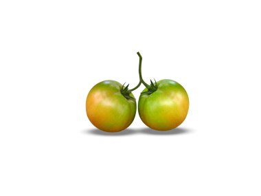 Olgun domates çiftlerini kapatma ya da beyaz arkaplanda izole edilmiş Solanum lycopersicum