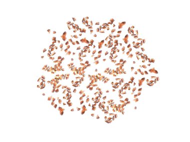 Sıvı çubuk orientalis ya da beyaz arkaplanda izole edilmiş kuru sakız tohumları