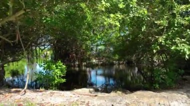 Nehir sularının manzarası