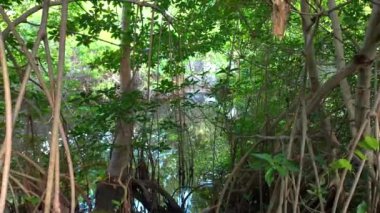 Nehir sularının manzarası