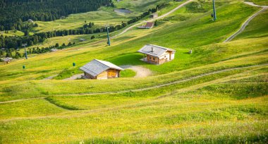 Küçük dağ bağırsağı ve kıvrımlı patika, battaniye gibi otlar vadiyi, Seceda 'yı, Dolomitleri, İtalya' yı sardı.