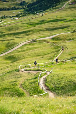 hiking trail spread along the blanket-like grass covered valley, Seceda, Dolomites, Italy clipart