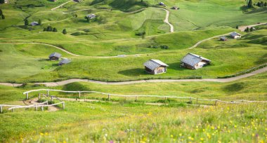 Küçük dağ bağırsağı ve kıvrımlı patika, battaniye gibi otlar vadiyi, Seceda 'yı, Dolomitleri, İtalya' yı sardı.