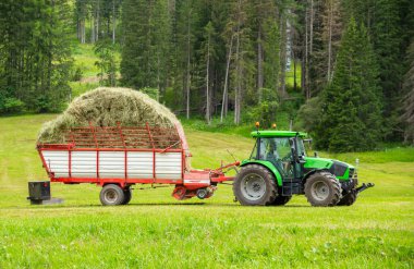 İtalya, Dolomitler 'de otları toplayan bir traktör.