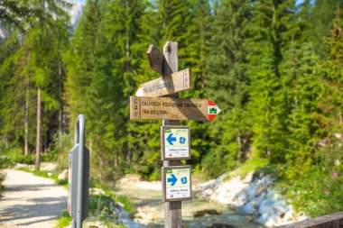 Arka planda çam ağacı ormanı, Colfosch, Dolomitler, İtalya