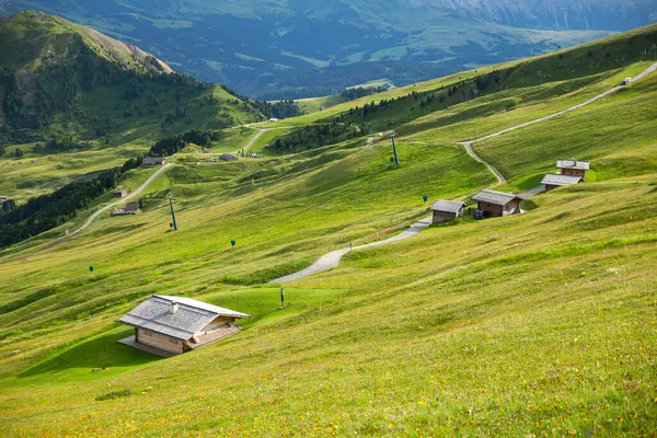 Küçük dağ bağırsağı ve kıvrımlı patika, battaniye gibi otlar vadiyi, Seceda 'yı, Dolomitleri, İtalya' yı sardı.