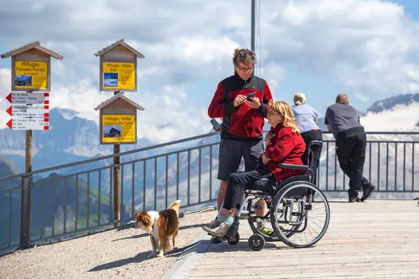 Dolomitler, İtalyan---29 Temmuz 2024: Funivia Sass Pordoi 'nin tepesinde köpeği ve kocasıyla tekerlekli sandalyede oturan engelli yaşlı bir kadın