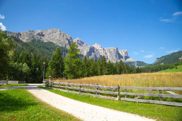 Dolomitler, İtalya 'daki kayalık dağlarla birlikte çam ormanlarına doğru giden bir yürüyüş yolu.