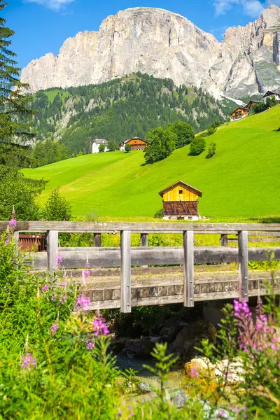 Alp köyü ile ahşap bir köprü ve arka planda kayalık bir dağ, yaz, Dolomitler, İtalya