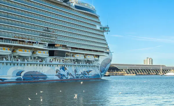 Amsterdam, Hollanda 05 Ekim 2024: Port Amsterdam 'daki Norveç Prima gemi parkı