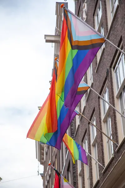 Amsterdam 'daki tarihi binalarda LGBTQ bayrağı dalgalanması