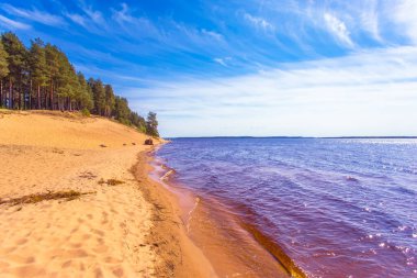 Finlandiya 'dan mavi gökyüzü ile güneşli yaz gölü manzarası
