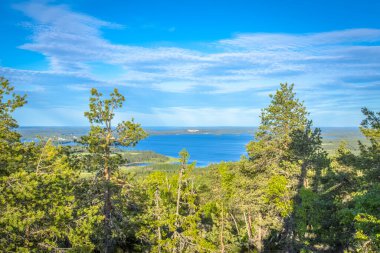 Finlandiya 'dan mavi gökyüzüyle güneşli yaz ormanı manzarası