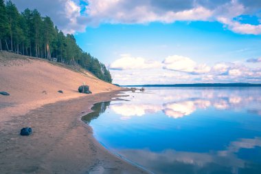 Finlandiya 'dan mavi gökyüzü ile güneşli yaz gölü manzarası.