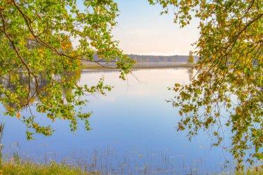 Finlandiya 'dan sonbahar göl manzarası.