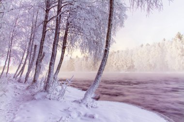 Soğuk kış günbatımı nehir manzarası. Karlı ağaçlarla dolu. Fotoğraf: Kuhmo Finland
