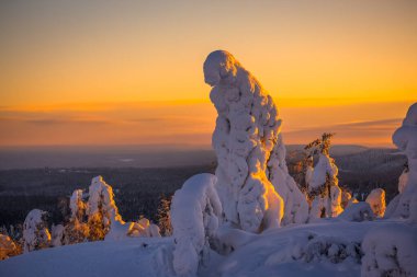 Soğuk kış günbatımı manzarası. Fotoğraf: Sotkamo, Finlandiya. Arkaplan Yoğun kar manzarası.