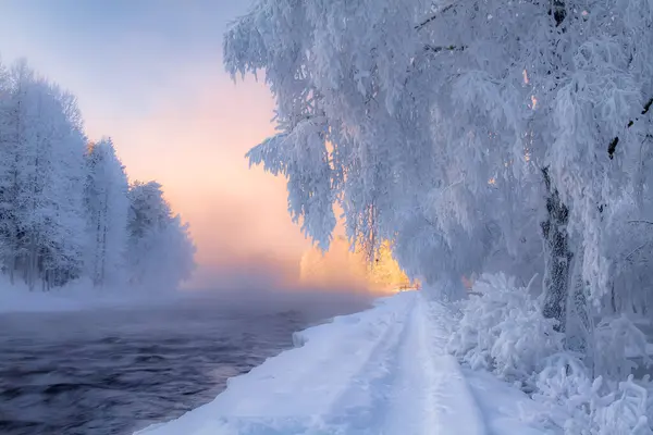 Soğuk kış günbatımı nehir manzarası. Karlı ağaçlarla dolu. Fotoğraf: Kuhmo Finland