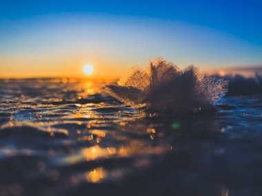 Frosty air and frozen lake surface in a beautiful sunset landscape. Beautiful ice shapes and sunlight. Photo from Sotkamo, Finland. clipart