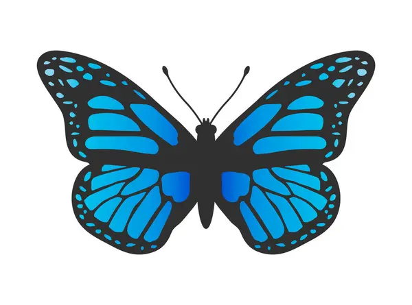 Kelebek silueti simgesi. Uçan Kelebek güve logosu desenli siluet simgesi. Uçan Kelebek güve logosu tasarımı. Vektör çizimi. Beyaz arkaplanda izole.