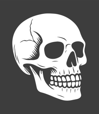 İnsan kafatası logosu simgesi. Siyah Kafatası grafik işareti. Vektör çizimi. Siyah arkaplanda izole.