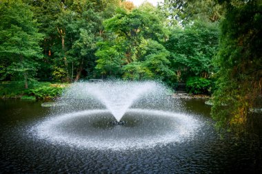 Wroclowe Polonya 'da botanik bahçesi ve şehir sokakları.