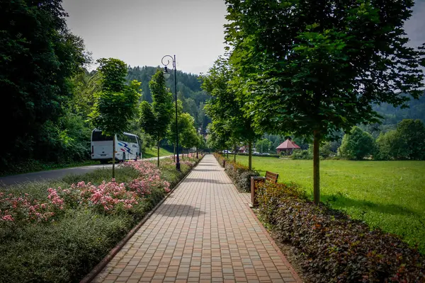 Parktaki patika Dağ yolunda