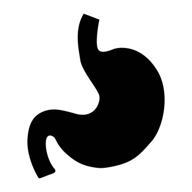 Sağlıklı bir midenin temiz ve detaylı bir temsili, anatomik şeklini modern ve minimal bir tasarım ile sergiliyor, tıbbi veya sağlıklı projeler için ideal..
