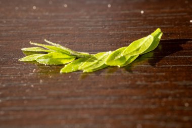 Yakın çekim makro fotoğraf küçük yeşil bitki yaprağı üzerinde dinlenen koyu ahşap bir yüzey, sıcak doğal ışık tarafından vurgulanır. Görüntü, doğa, bitkisel veya organik temalı kavramlar için uygun dokuyu, basitliği ve doğal ayrıntıları vurgular..