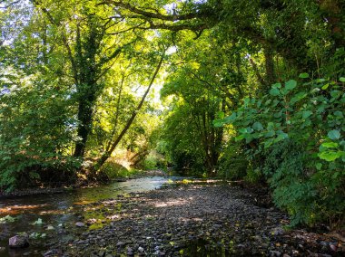 Parkta dibi taşlı bir nehir.