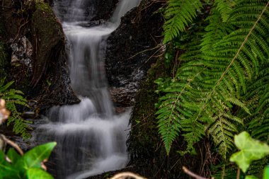 Hızlı akan su yamaçta küçük şelale yeşilliklerle çevrili.