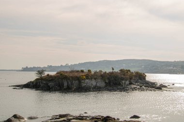 İrlanda 'nın sakin sularında kayalık adayla mükemmel deniz manzarası