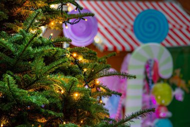 Noel arkaplanına parlayan ışıklarla yakın plan Corkmas Ağacı