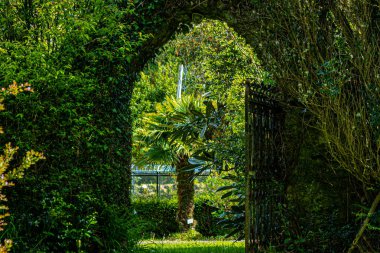 Çitteki kemer, geçitten görünen bir palmiye ağacı, resmi bahçe.