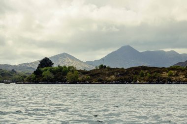 Kayalık bir kıyı şeridinden manzara ve ağaçların arkasına gizlenmiş evler, Glengarriff, West Cork, İrlanda