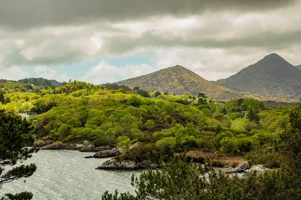 Batı Cork Doğa, yukarıdaki güzel parkın manzarası.