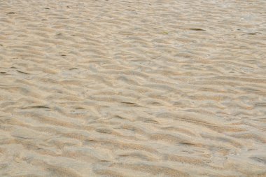 Alçak gelgit sonrası kumun çapraz dokusu